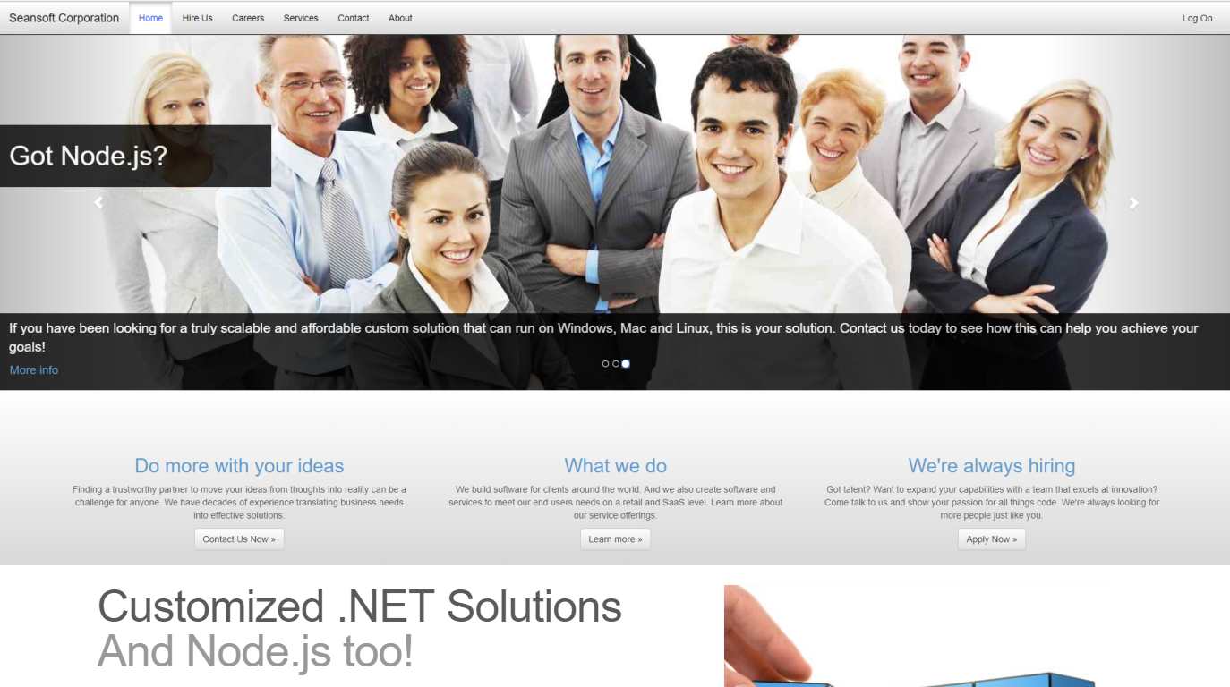 Custom software is our specialty. Cutting edge Node.js and Microsoft.NET, wordpress plugins and Umbraco software can be yours.